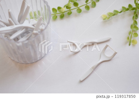 フロス　白バック 119317850