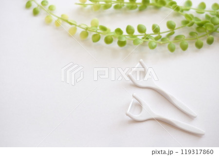 フロス　白バック 119317860