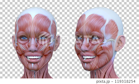 Close-up of a woman's face 119318254