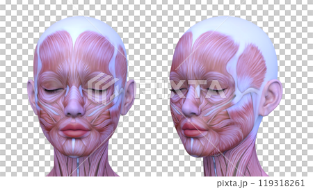 女性の顔アップ 119318261