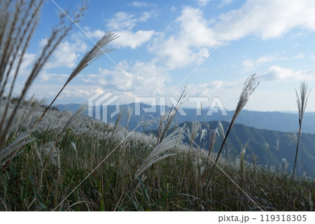 すすきの穂が実る生石高原から南の山々を見た風景【10月】昼景 119318305