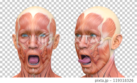 Close-up of a man's face Close-up of a man's face 119318326