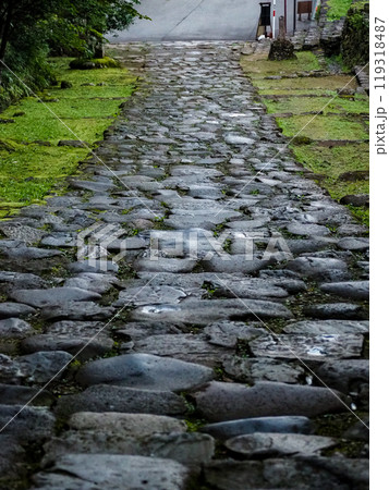 苔寺 白山神社 境内 参道 平泉寺 苔寺 白山神社 境内 参道 平泉寺 119318487