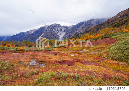 秋の栂池自然園 119318793