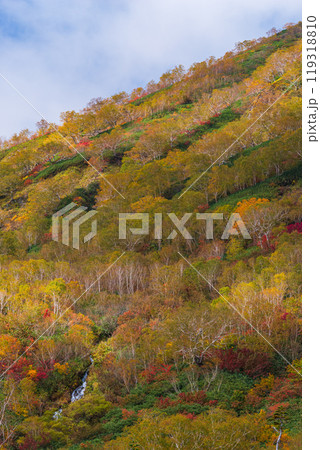 秋の栂池自然園 119318810