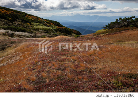 北海道主峰旭岳の紅葉 119318860