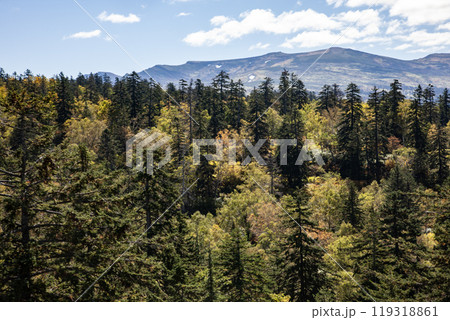 北海道主峰旭岳の紅葉 北海道主峰旭岳の紅葉 119318861