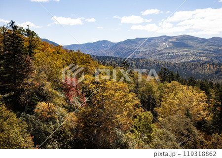 北海道主峰旭岳の紅葉 北海道主峰旭岳の紅葉 119318862