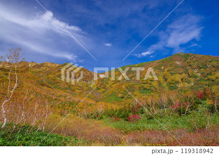 栂池自然園の紅葉 栂池自然園の紅葉 119318942