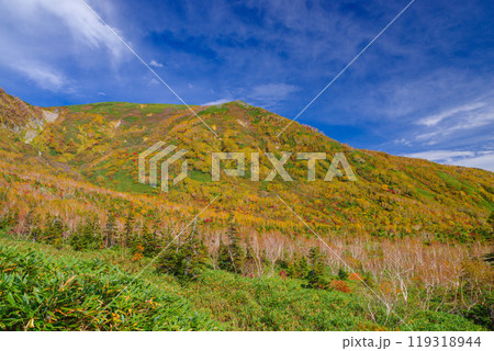 栂池自然園の紅葉 栂池自然園の紅葉 119318944