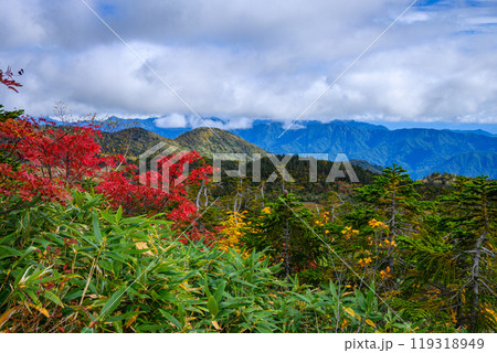 栂池自然園の紅葉 119318949