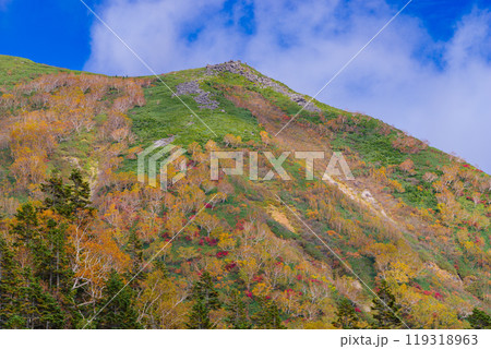 栂池自然園の紅葉 119318963
