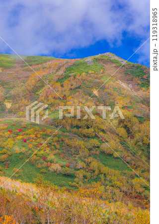 栂池自然園の紅葉 栂池自然園の紅葉 119318965