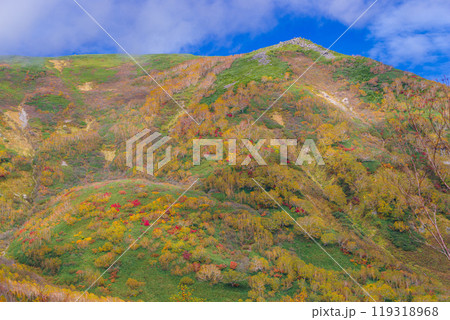 栂池自然園の紅葉 栂池自然園の紅葉 119318968