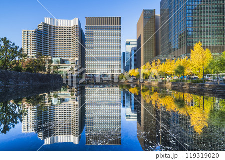 秋の東京都市風景　水面に映る丸の内の高層ビル群と日比谷通りのイチョウ並木【東京都・千代田区】 119319020