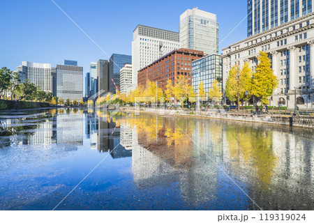 秋の東京都市風景　水面に映る丸の内のオフィスビル群と日比谷通りのイチョウ並木【東京都・千代田区】 119319024