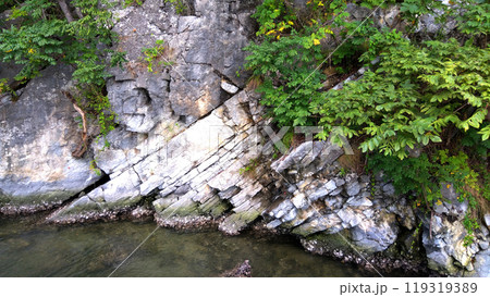 無造作に見ることができる地層 119319389