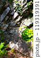 むき出しの地層の崖 119319391