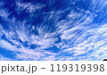 秋の青空の羽毛のような雲 119319398