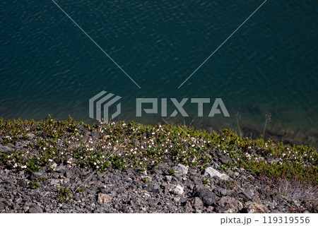 北海道主峰旭岳の冠雪 北海道主峰旭岳の冠雪 119319556