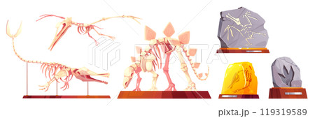 Fossil triceratops and pterodactyl vector skeleton Fossil triceratops and pterodactyl vector skeleton 119319589