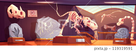 Fossil dinosaur skeletons and footprint in museum 119319591