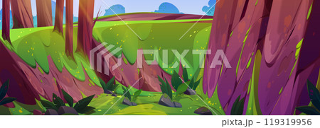 Forest landscape with old trees, steep hill slope 119319956