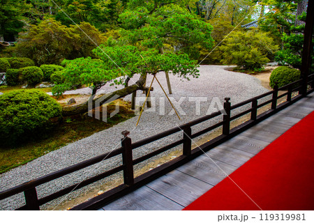 【京都風景】曼殊院　鶴亀の枯山水の庭 119319981