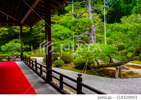 【京都風景】曼殊院　鶴亀の枯山水の庭 119320001