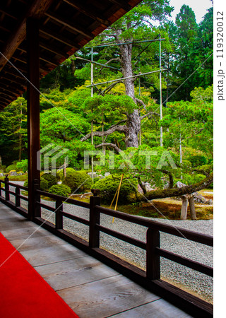 【京都風景】曼殊院　鶴亀の枯山水の庭 119320012