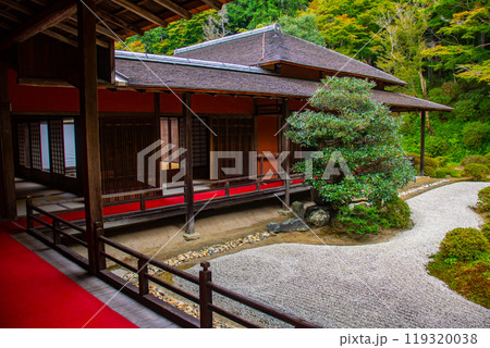 【京都風景】曼殊院 鶴亀の枯山水の庭 【京都風景】曼殊院 鶴亀の枯山水の庭 119320038