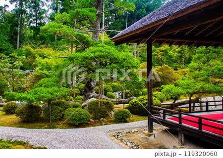 【京都風景】曼殊院　鶴亀の枯山水の庭 119320060