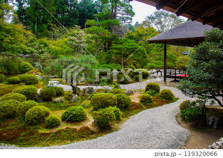 【京都風景】曼殊院　鶴亀の枯山水の庭 119320066