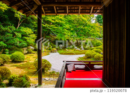 【京都風景】曼殊院 鶴亀の枯山水の庭 【京都風景】曼殊院 鶴亀の枯山水の庭 119320078