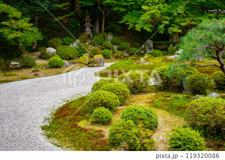 【京都風景】曼殊院　鶴亀の枯山水の庭 119320086