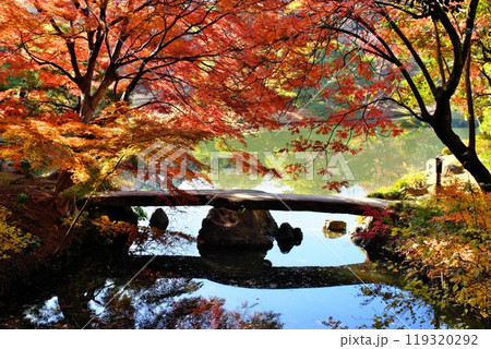 六義園渡月橋の紅葉 119320292