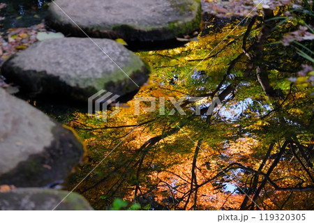 六義園の紅葉 六義園の紅葉 119320305