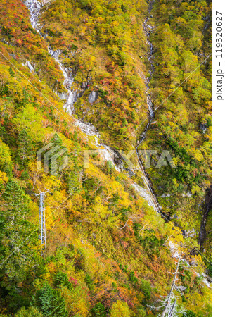 【長野県】中央アルプス駒ケ岳ロープウェイから眺める斜面の紅葉 119320627