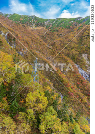 【長野県】中央アルプス駒ケ岳ロープウェイから眺める斜面の紅葉 【長野県】中央アルプス駒ケ岳ロープウェイから眺める斜面の紅葉 119320632