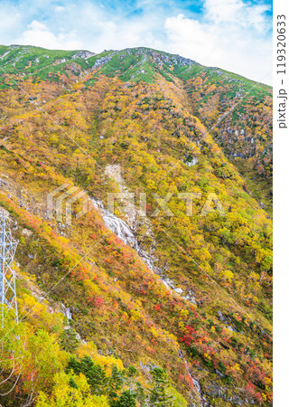 【長野県】中央アルプス駒ケ岳ロープウェイから眺める斜面の紅葉 119320633