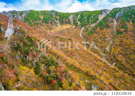 【長野県】中央アルプス駒ケ岳ロープウェイから眺める斜面の紅葉 119320634
