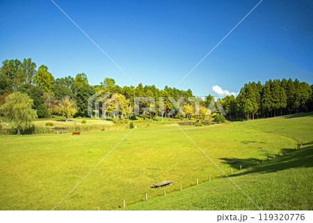 つくば市科学万博記念公園の芝生広場の秋の風景 119320776