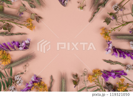 floral circular composition or frame with wildflowers, spikelets, herbs on a peach or beige background. High quality floral circular composition or frame with wildflowers, spikelets, herbs on a peach or beige background. High quality 119321050