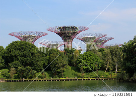 ドラゴンフライ湖から望むスーパーツリー 119321691