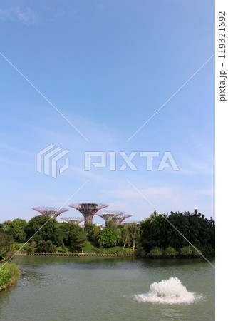 ドラゴンフライ湖から望むスーパーツリー 119321692