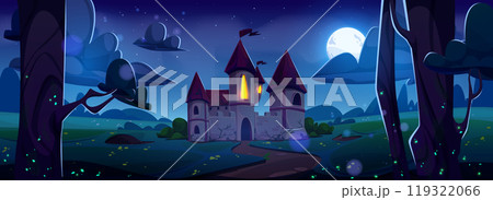 Medieval castle on night summer landscape 119322066