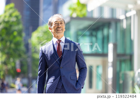 シニアのビジネスマン 119322484