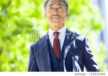 ビジネスマン シニア 男性 ビジネスマン シニア 男性 119322494