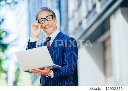 シニアのビジネスパーソンポートレート 119322504