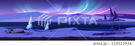 Northern winter landscape with aurora borealis 119322934